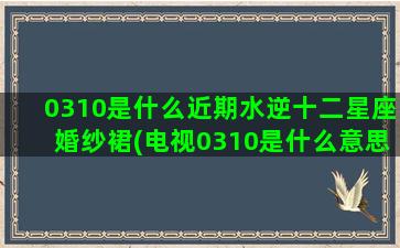 0310是什么近期水逆十二星座婚纱裙(电视0310是什么意思)