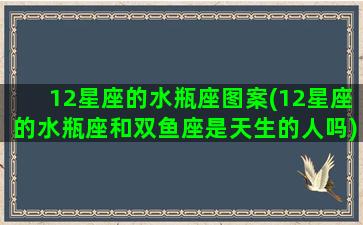 12星座的水瓶座图案(12星座的水瓶座和双鱼座是天生的人吗)