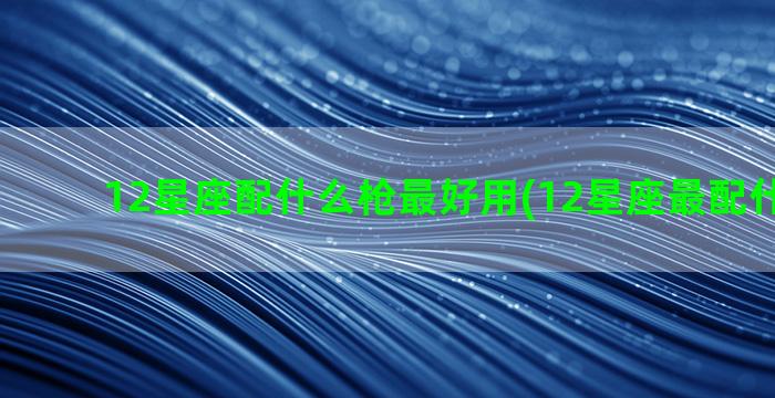 12星座配什么枪最好用(12星座最配什么房子)