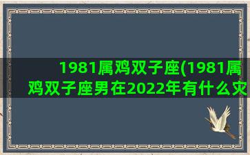 1981属鸡双子座(1981属鸡双子座男在2022年有什么灾)