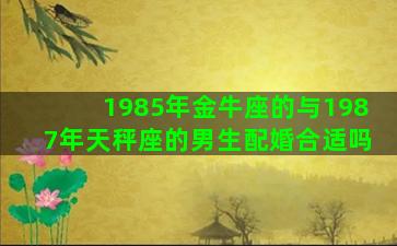 1985年金牛座的与1987年天秤座的男生配婚合适吗