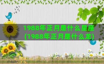 1988年正月是什么星座(1988年正月是什么龙)