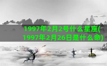 1997年2月2号什么星座(1997年2月26日是什么命)