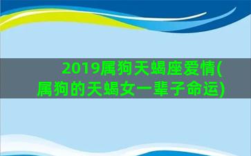 2019属狗天蝎座爱情(属狗的天蝎女一辈子命运)