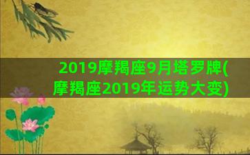 2019摩羯座9月塔罗牌(摩羯座2019年运势大变)