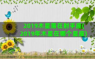 2019木星落在射手座(2019年木星在哪个星座)