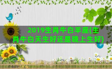 2019生肖牛白羊座(生肖牛白天生好还是晚上生好)