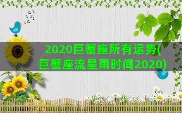 2020巨蟹座所有运势(巨蟹座流星雨时间2020)