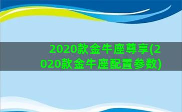 2020款金牛座尊享(2020款金牛座配置参数)