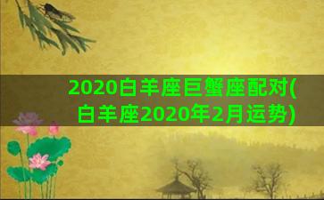 2020白羊座巨蟹座配对(白羊座2020年2月运势)