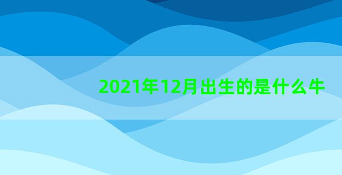 2021年12月出生的是什么牛