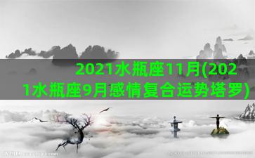 2021水瓶座11月(2021水瓶座9月感情复合运势塔罗)