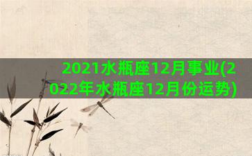 2021水瓶座12月事业(2022年水瓶座12月份运势)