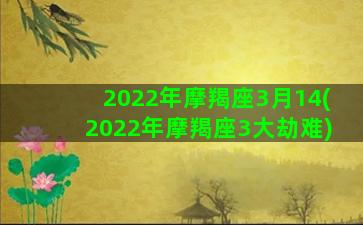 2022年摩羯座3月14(2022年摩羯座3大劫难)