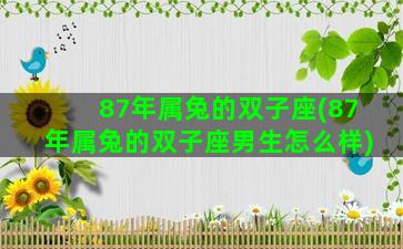 87年属兔的双子座(87年属兔的双子座男生怎么样)