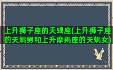 上升狮子座的天蝎座(上升狮子座的天蝎男和上升摩羯座的天蝎女)