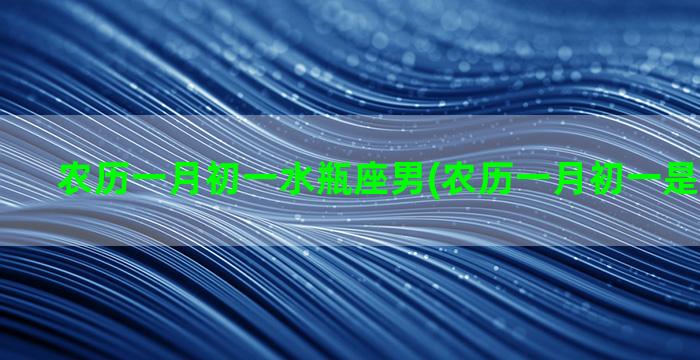 农历一月初一水瓶座男(农历一月初一是什么星座)