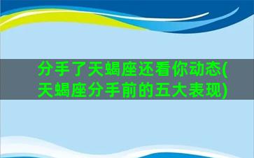 分手了天蝎座还看你动态(天蝎座分手前的五大表现)