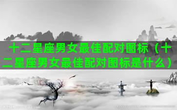 十二星座男女最佳配对图标（十二星座男女最佳配对图标是什么）