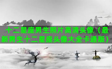 十二星座男生照片高清头像（最新男生十二星座头像大全卡通版）