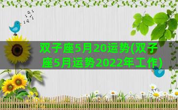 双子座5月20运势(双子座5月运势2022年工作)