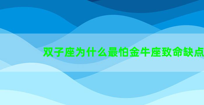 双子座为什么最怕金牛座致命缺点