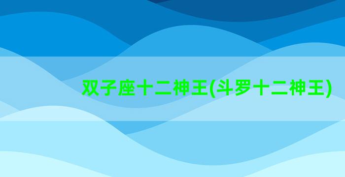 双子座十二神王(斗罗十二神王)