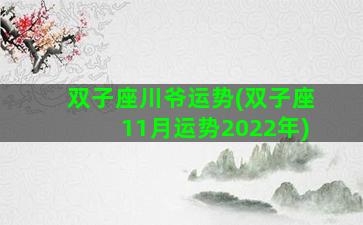 双子座川爷运势(双子座11月运势2022年)