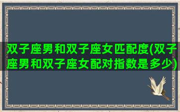 双子座男和双子座女匹配度(双子座男和双子座女配对指数是多少)