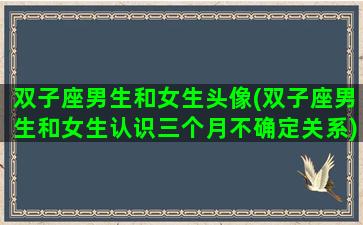 双子座男生和女生头像(双子座男生和女生认识三个月不确定关系)