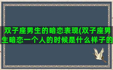 双子座男生的暗恋表现(双子座男生暗恋一个人的时候是什么样子的)