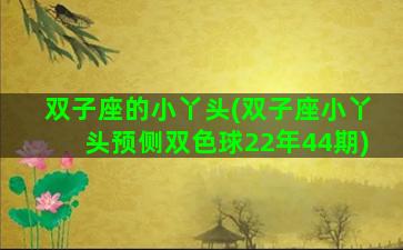 双子座的小丫头(双子座小丫头预侧双色球22年44期)