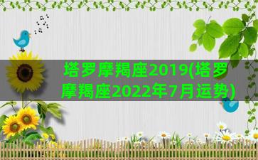 塔罗摩羯座2019(塔罗摩羯座2022年7月运势)