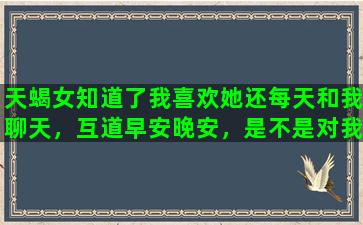 天蝎女知道了我喜欢她还每天和我聊天，互道早安晚安，是不是对我也有好感