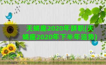 天蝎座2020年辞职(天蝎座2020年下半年运势)