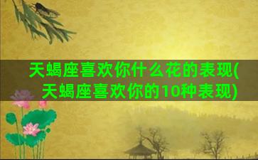 天蝎座喜欢你什么花的表现(天蝎座喜欢你的10种表现)