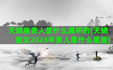 天蝎座贵人是什么属相的(天蝎座女2023年贵人是什么星座)