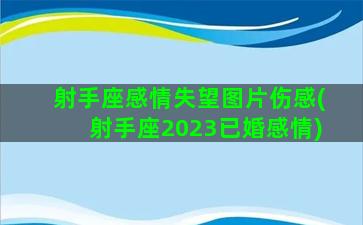 射手座感情失望图片伤感(射手座2023已婚感情)