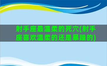 射手座最温柔的死穴(射手座喜欢温柔的还是暴躁的)