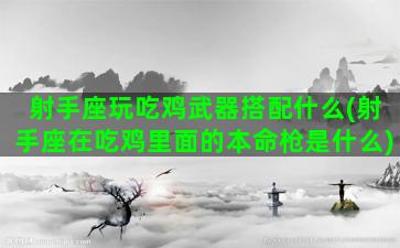 射手座玩吃鸡武器搭配什么(射手座在吃鸡里面的本命枪是什么)