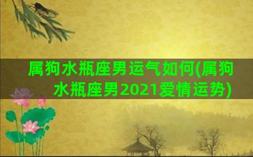 属狗水瓶座男运气如何(属狗水瓶座男2021爱情运势)