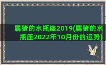 属猪的水瓶座2019(属猪的水瓶座2022年10月份的运势)