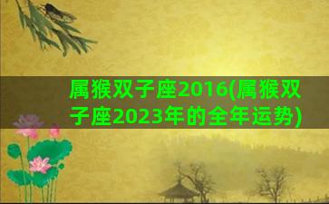 属猴双子座2016(属猴双子座2023年的全年运势)