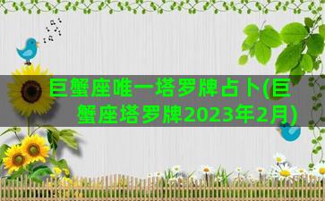 巨蟹座唯一塔罗牌占卜(巨蟹座塔罗牌2023年2月)