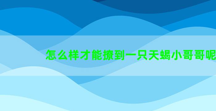 怎么样才能撩到一只天蝎小哥哥呢