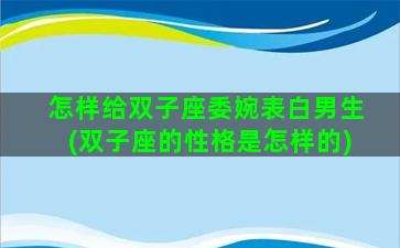 怎样给双子座委婉表白男生(双子座的性格是怎样的)