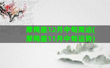 摩羯座12月中旬周运(摩羯座11月中旬运势)