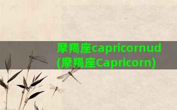 摩羯座capricornud(摩羯座Capricorn)