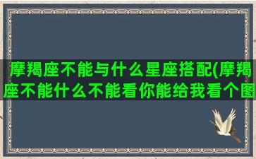 摩羯座不能与什么星座搭配(摩羯座不能什么不能看你能给我看个图片)