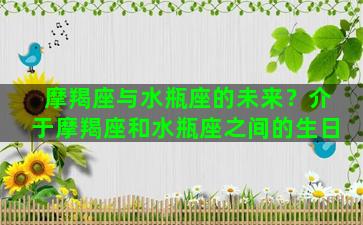 摩羯座与水瓶座的未来？介于摩羯座和水瓶座之间的生日